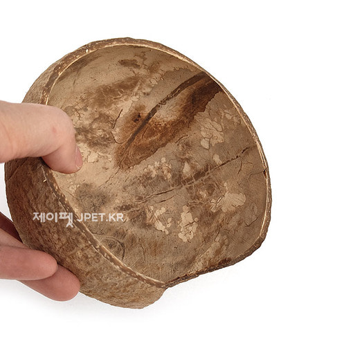 코코넛 햄스터 은신처 - 골든용