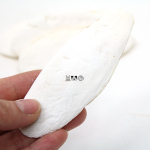 소형 오징어뼈 1P(9~10cm)