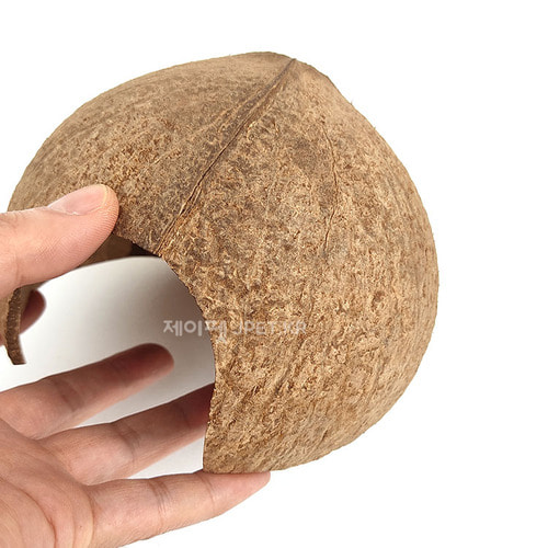 코코넛 햄스터 은신처 - 골든용